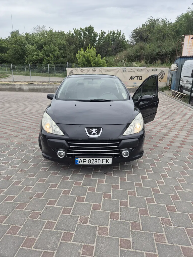 Фото 2007 Peugeot 307