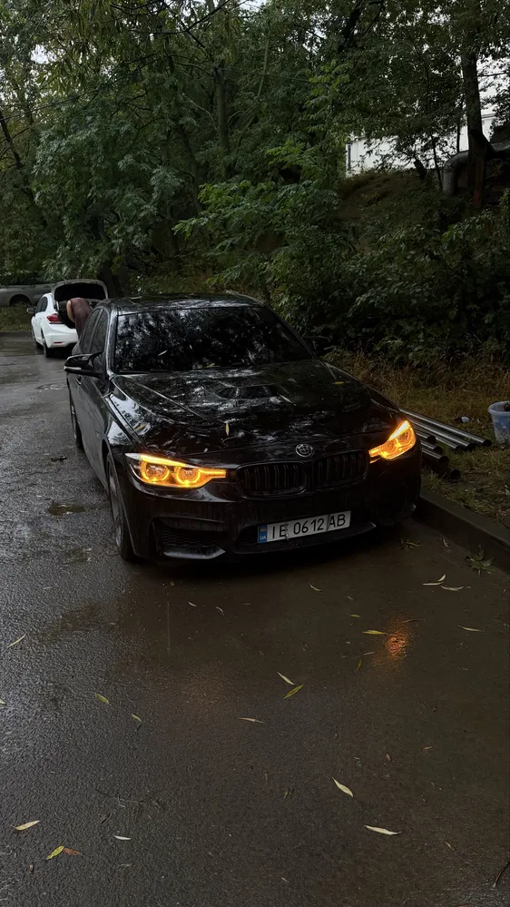 Фото 2013 BMW 3 серія