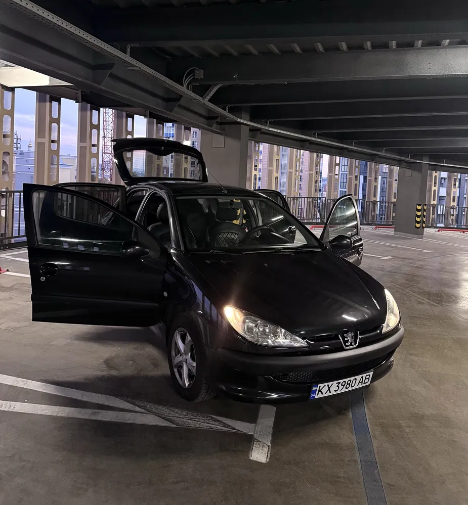Фото 2006 Peugeot 206