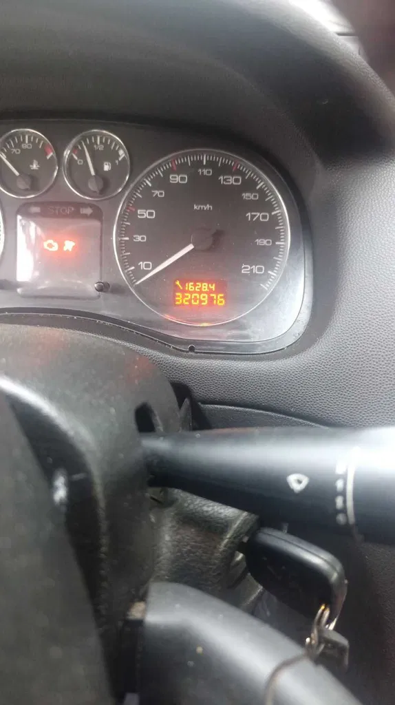 Фото 2005 Peugeot 307