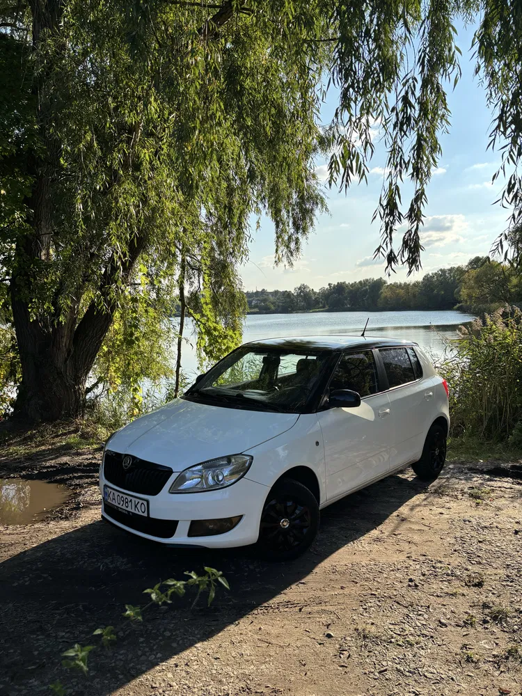 Фото 2011 Skoda Fabia