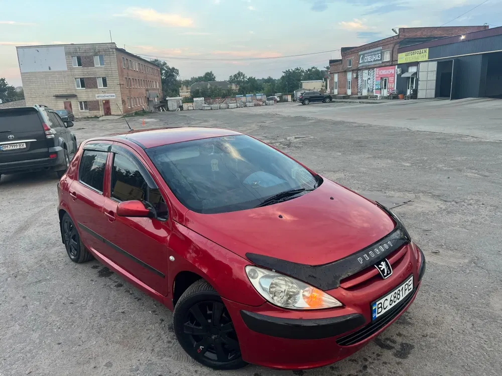 Фото 2003 Peugeot 307