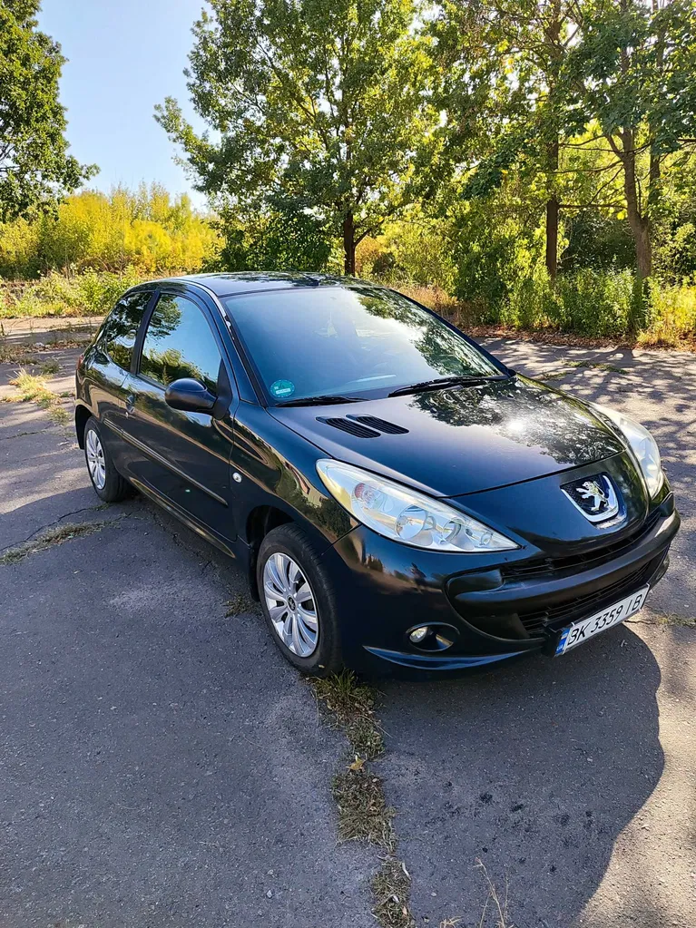 Фото 2009 Peugeot 206