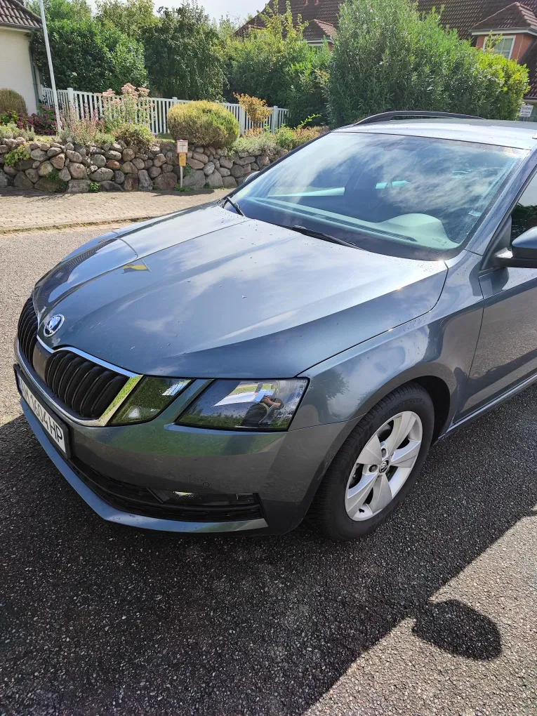 Фото 2019 Skoda Octavia