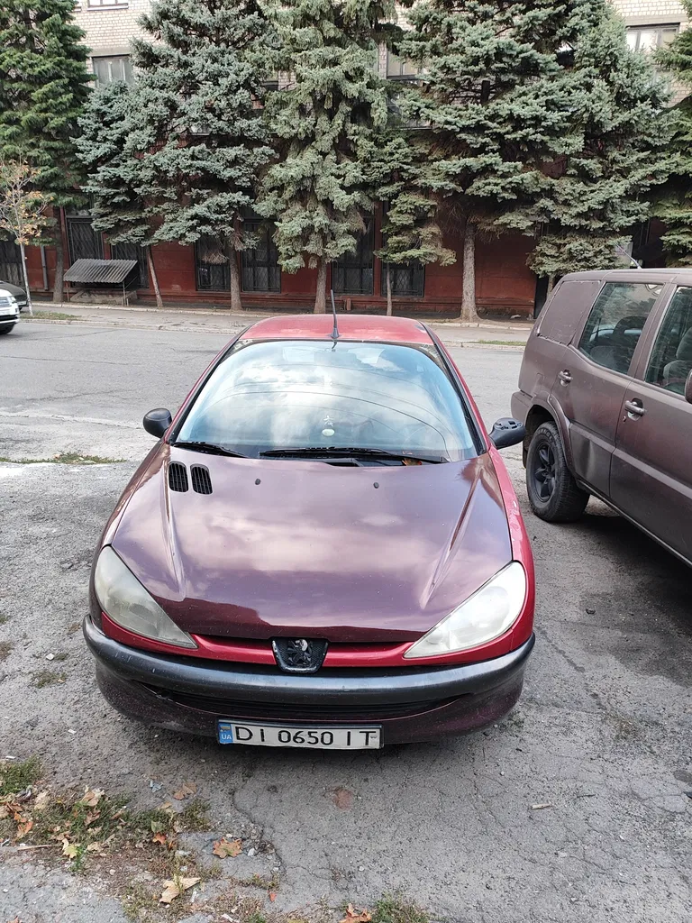 Фото 2001 Peugeot 206