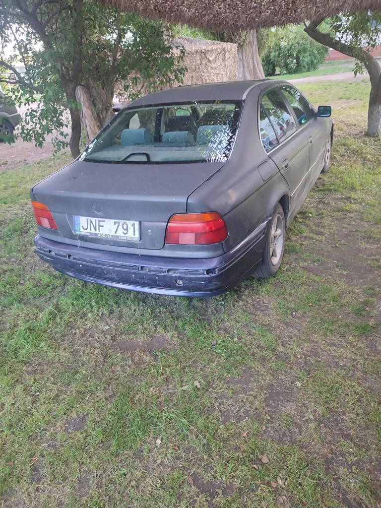 Фото 1996 BMW 5 серія