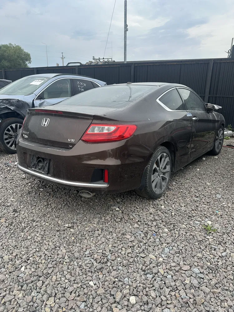 Фото 2014 Honda Accord