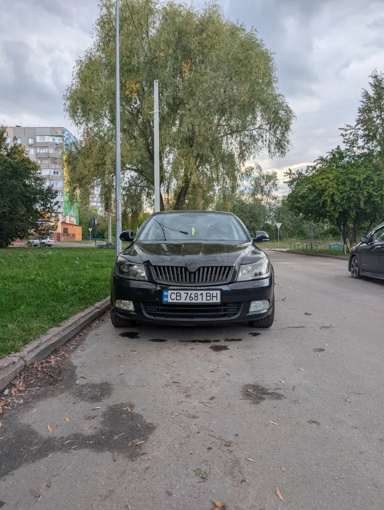 Фото 2013 Skoda Octavia