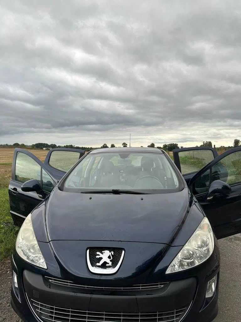 Фото 2009 Peugeot 308