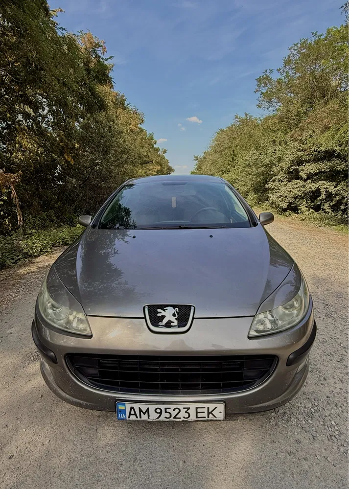Фото 2004 Peugeot 407