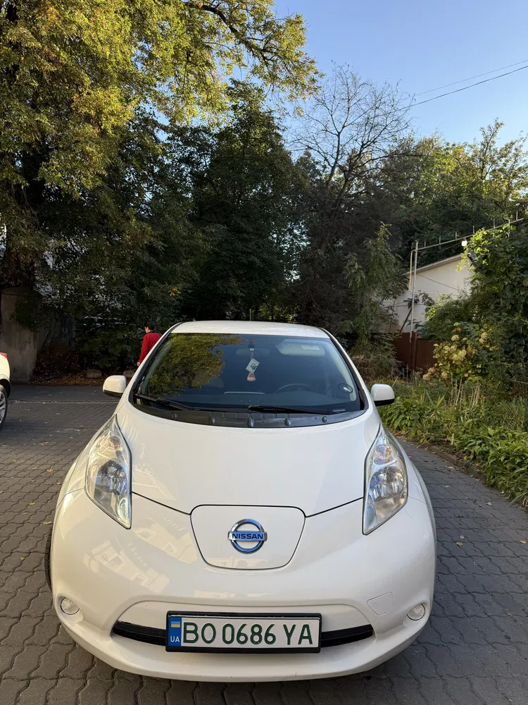 Фото 2015 Nissan Leaf