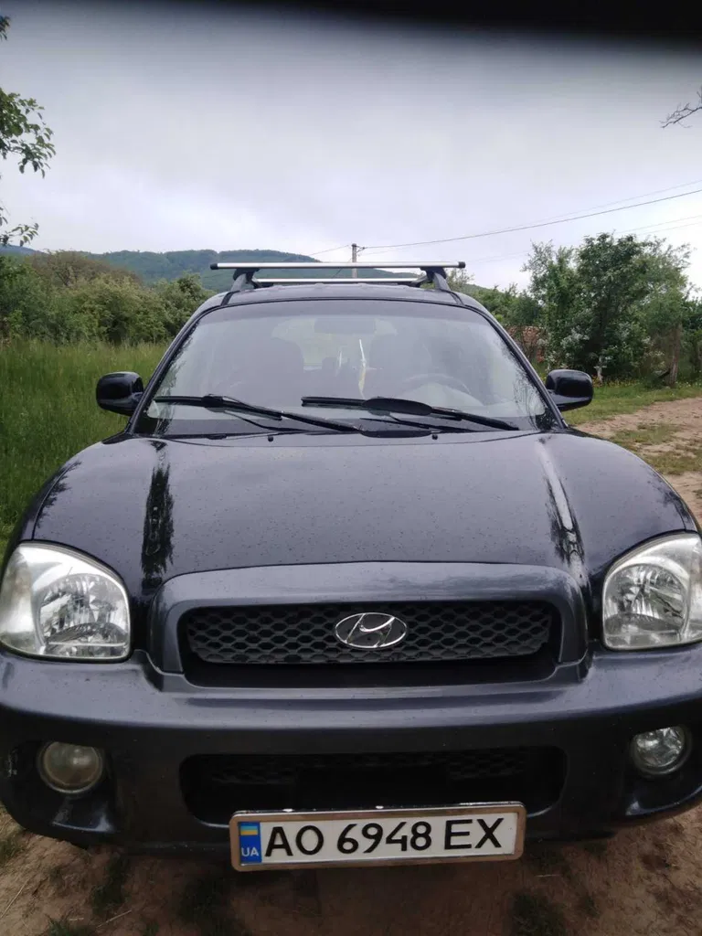 Фото 2004 Hyundai Santa FE