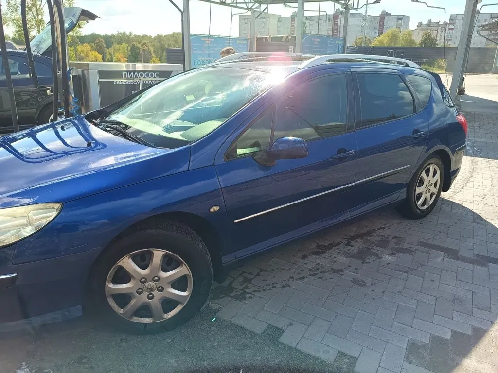 Фото 2007 Peugeot 407
