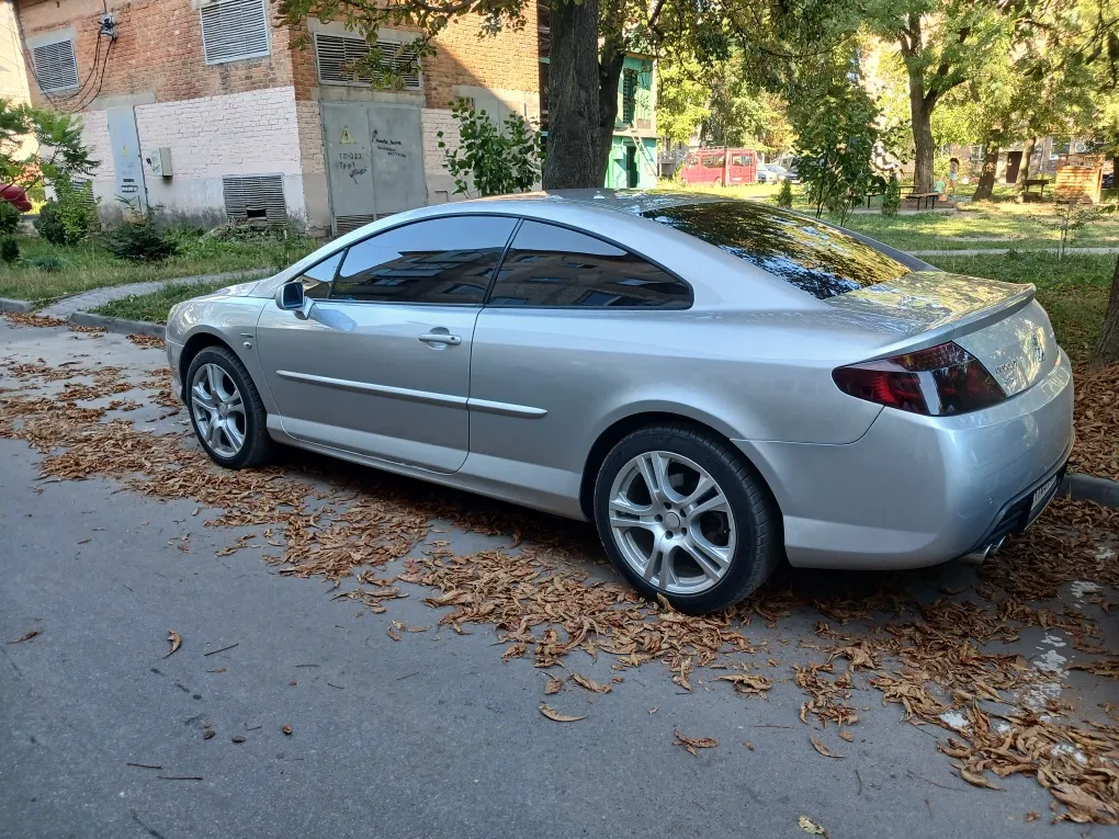 Фото 2006 Peugeot 407