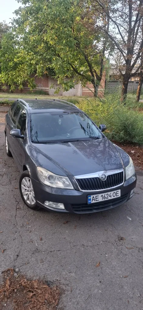 Фото 2009 Skoda Octavia