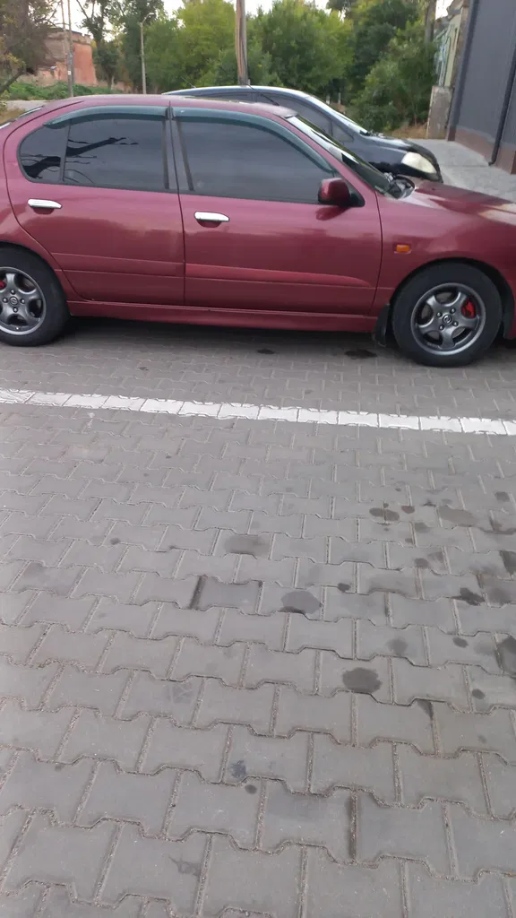 Фото 2001 Nissan Primera