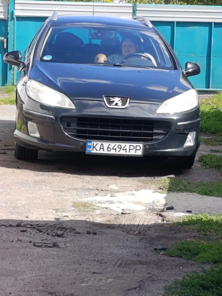 Фото 2010 Peugeot 407