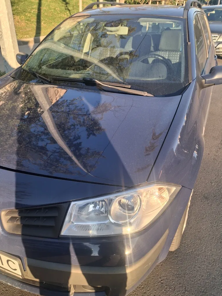 Фото 2006 Renault Megane