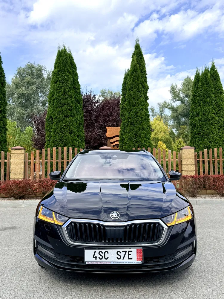 Фото 2020 Skoda Octavia